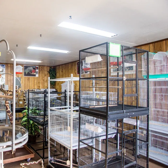 Bird Hut Inc. Picture 10