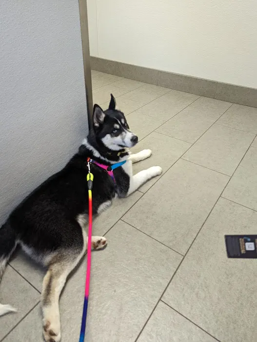 Bennington Veterinary Clinic Picture 6