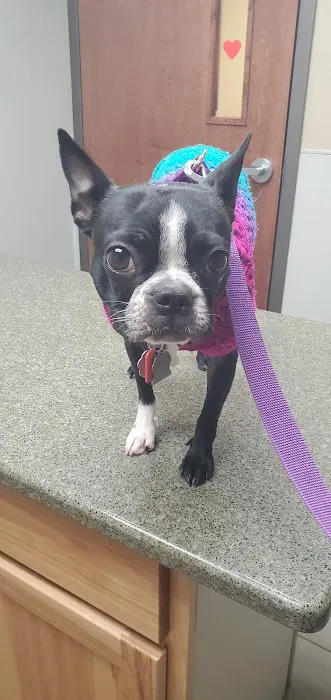 Bennington Veterinary Clinic Picture 2