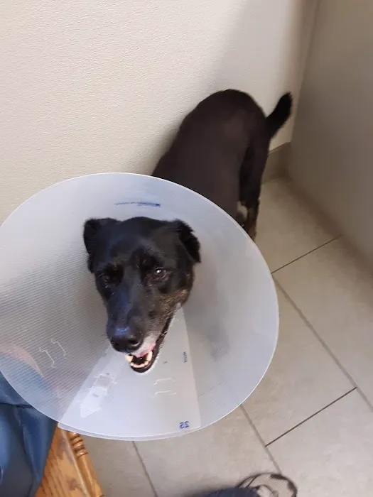 Bennington Veterinary Clinic Picture 10
