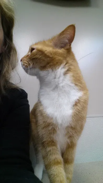 Bennington Veterinary Clinic Picture 1
