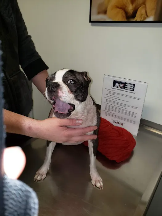 Corfu Veterinary Clinic Picture 10