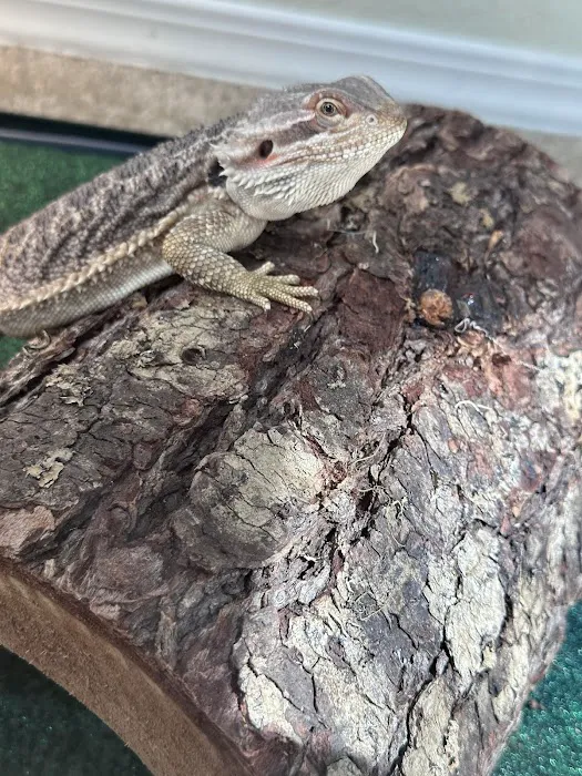 Petco Picture 5