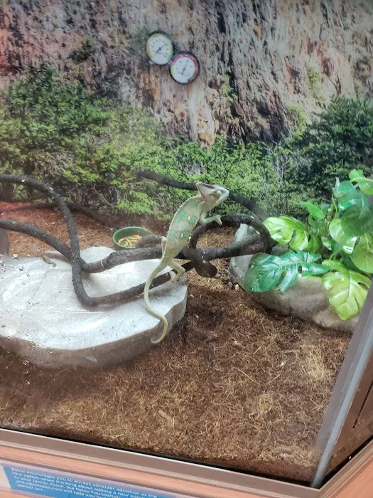 Petco Picture 8