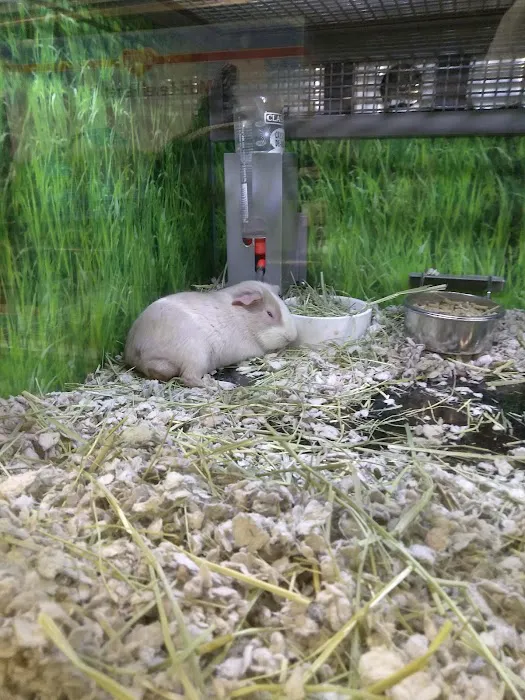 Petco Picture 9