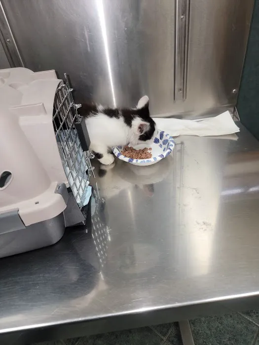 Country Village Pet Care Hospital Picture 8