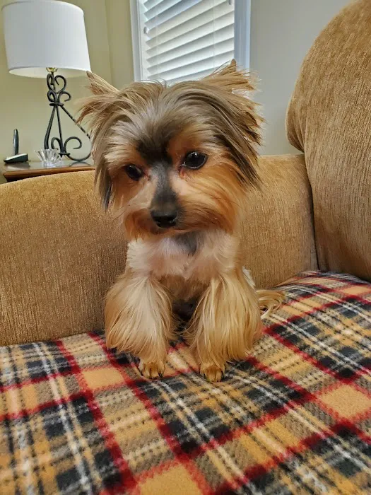 Country Village Pet Care Hospital Picture 2