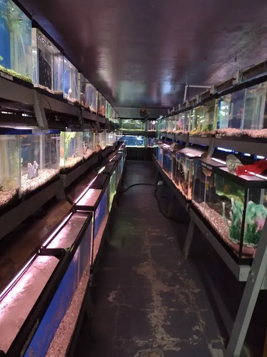 Caye's Aquarium Picture 5