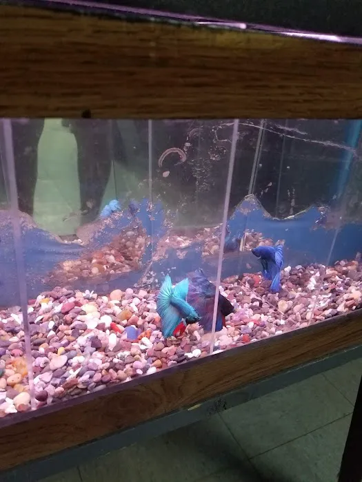 Caye's Aquarium Picture 1