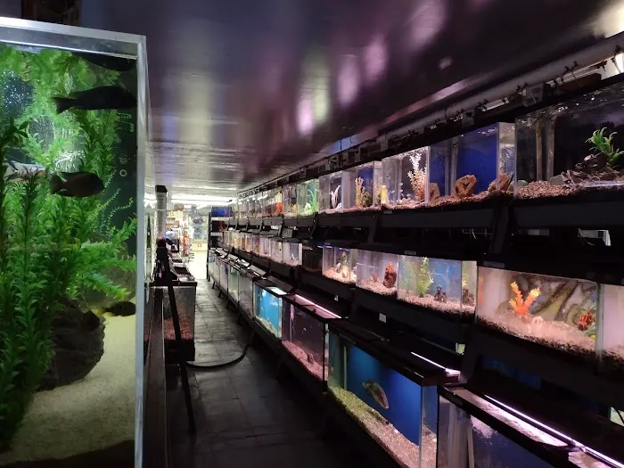 Caye's Aquarium Picture 9