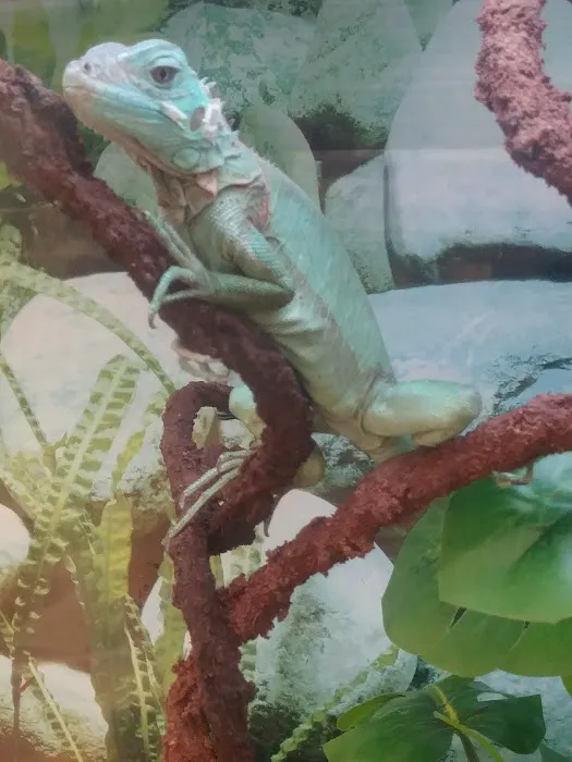 Petco Picture 4