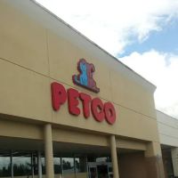 Petco ico