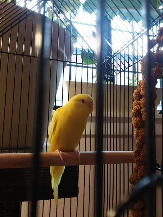 Petco Picture 5