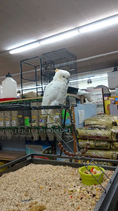 A to Z Pets Inc Picture 9
