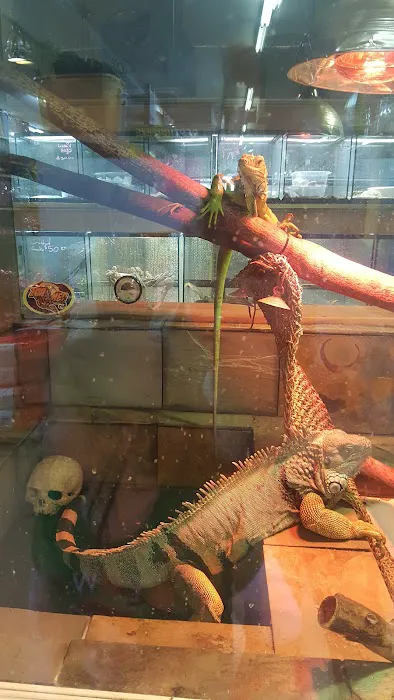 A to Z Pets Inc Picture 5