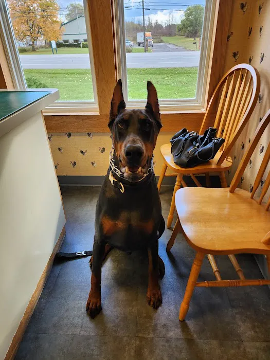 Alden Animal Hospital Picture 5