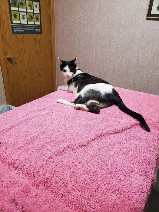 Alden Animal Hospital Picture 9