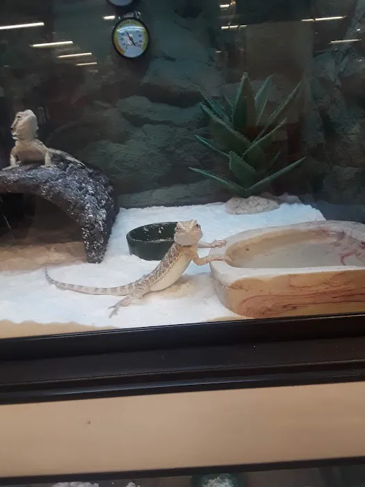 Petco Picture 10