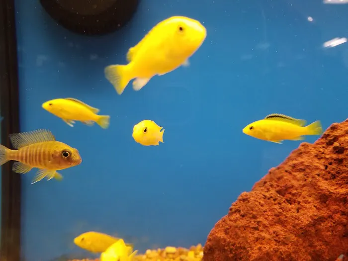 Petco Picture 4