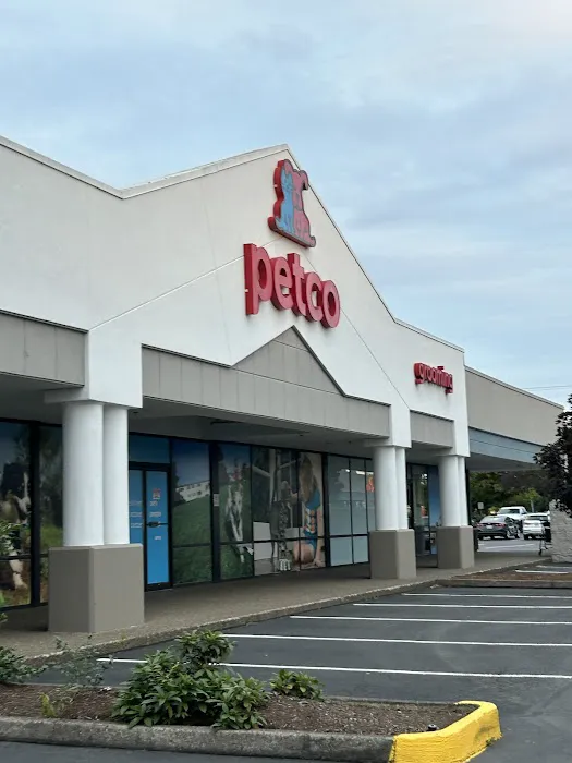 Petco Picture 1