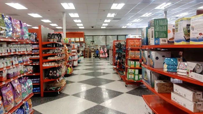 Petco Picture 9