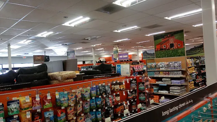 Petco Picture 5