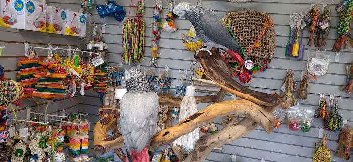 BiZee Bird Store Picture 2