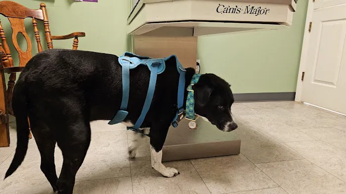 Nachbar Veterinary Hospital Picture 1