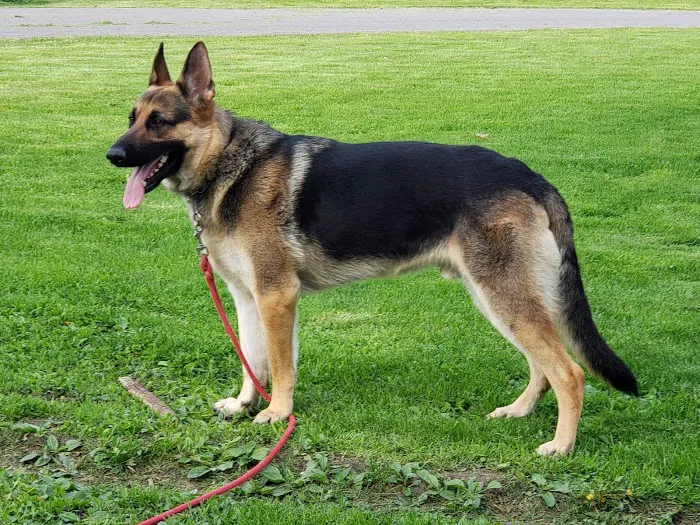 Nachbar Veterinary Hospital Picture 2
