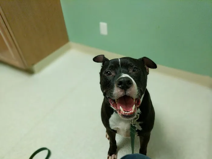 Nachbar Veterinary Hospital Picture 7
