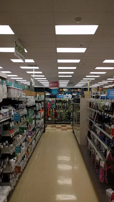 Petco Picture 3