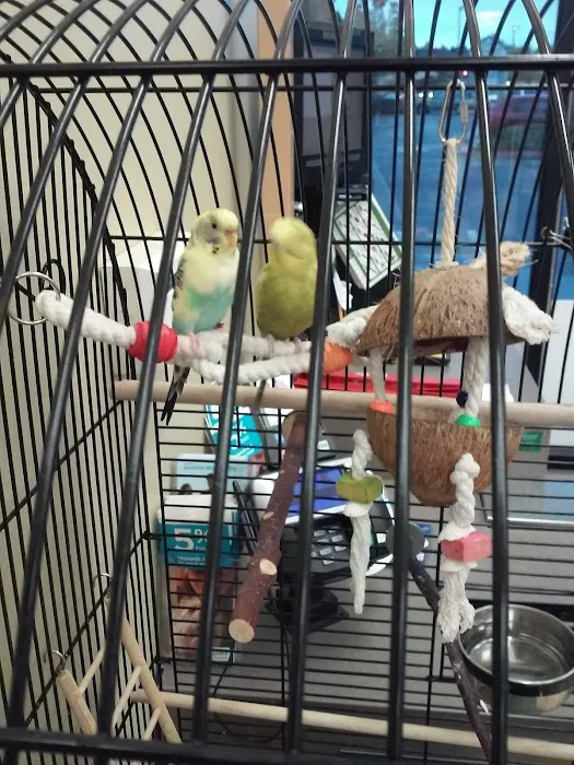 Petco Picture 8