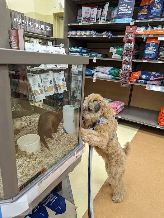 Petco Picture 10