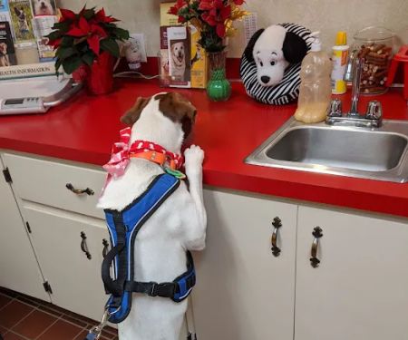 Concord Veterinary Center