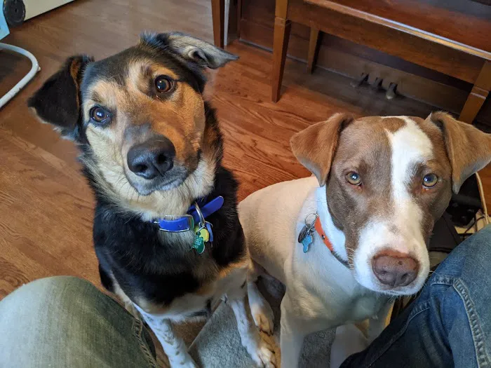 Concord Veterinary Center Picture 5
