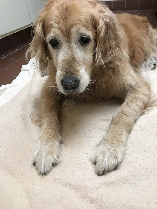 Concord Veterinary Center Picture 9