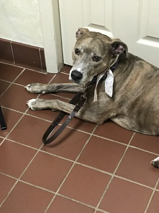 Concord Veterinary Center Picture 8