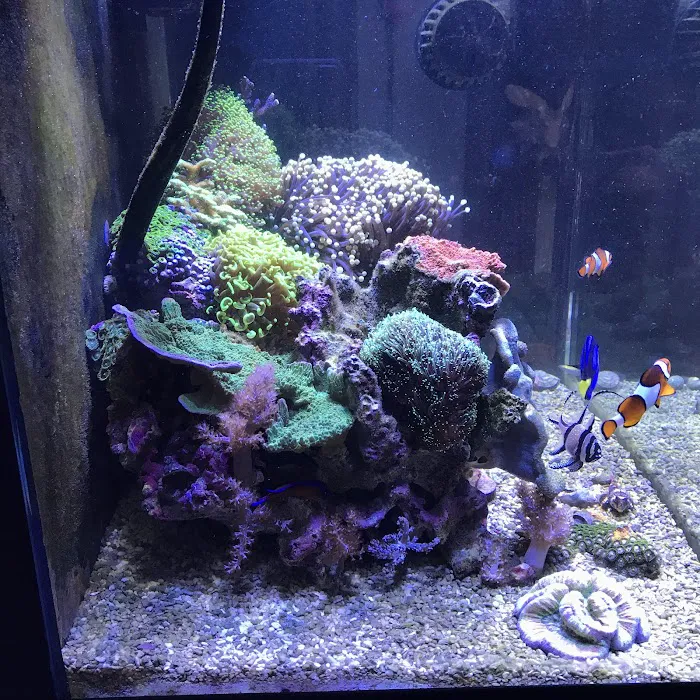 Upscales-Fish & Reptiles LLC Picture 7