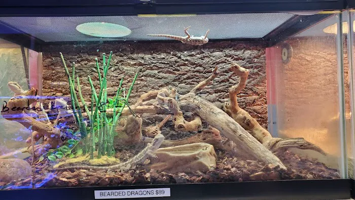 Upscales-Fish & Reptiles LLC Picture 10