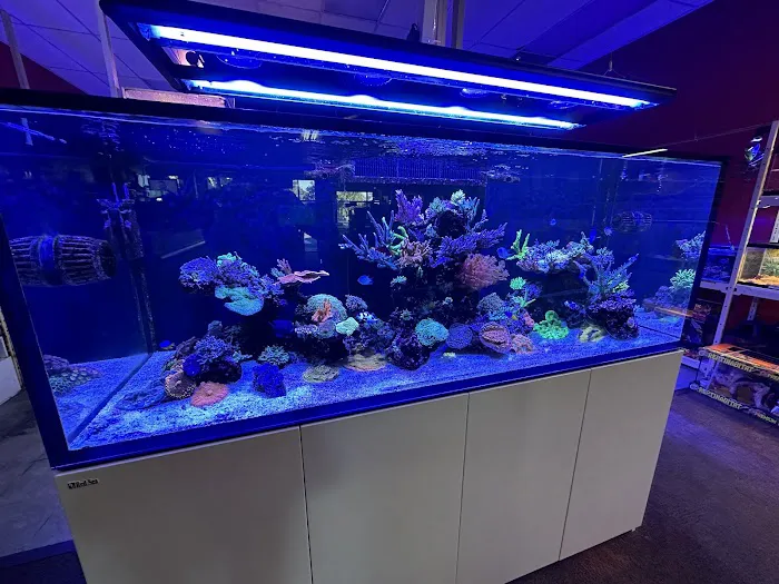 Upscales-Fish & Reptiles LLC Picture 9