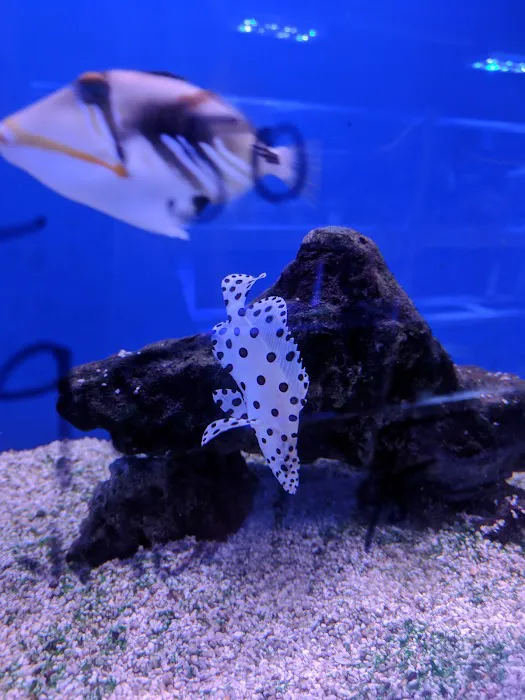 Upscales-Fish & Reptiles LLC Picture 2