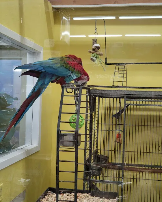Creature Comforts Pet Supplies Picture 10
