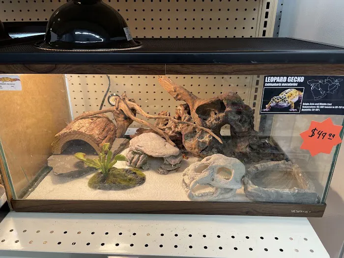 Creature Comforts Pet Supplies Picture 1
