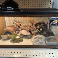 Creature Comforts Pet Supplies ico