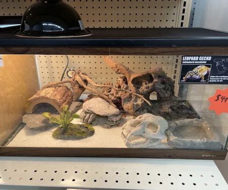 Creature Comforts Pet Supplies