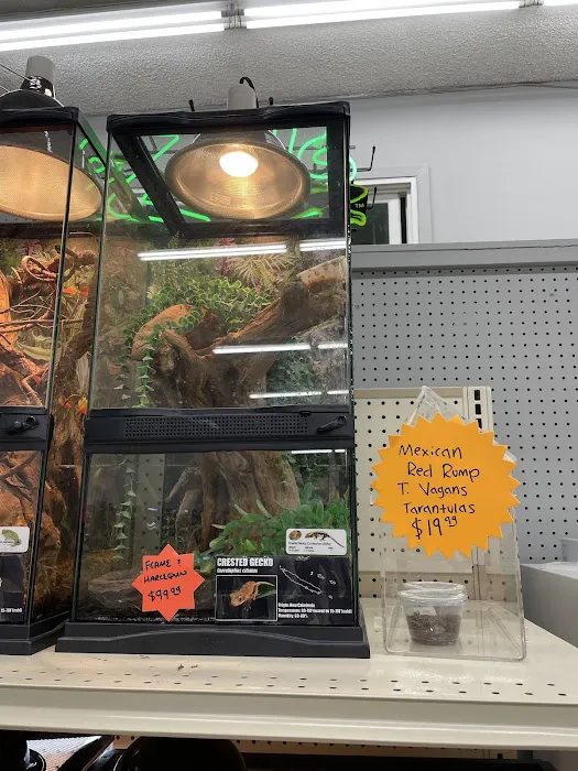 Creature Comforts Pet Supplies Picture 7