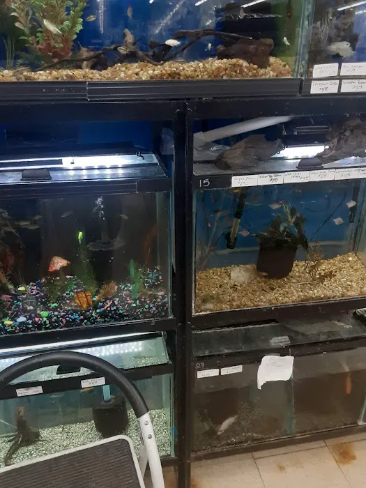Creature Comforts Pet Supplies Picture 8