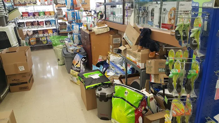 Creature Comforts Pet Supplies Picture 4