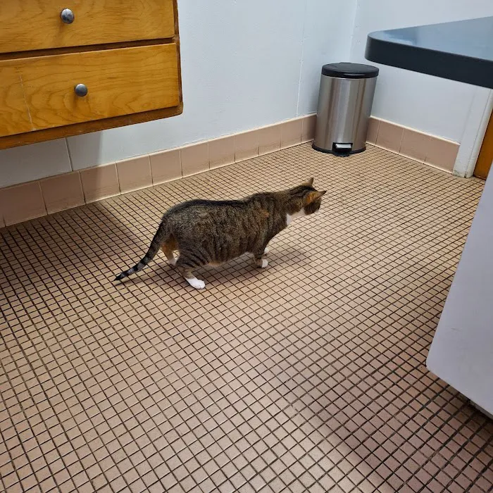 Springville Animal Hospital Picture 5