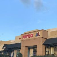 Petco ico